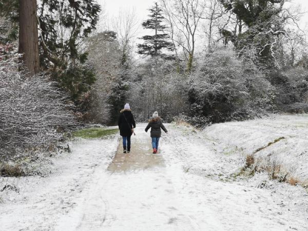 Snowy walk